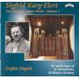 Stefan Engels - Karg-Elert Orgelwerke Vol.1