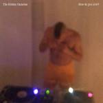 The Hidden Cameras - How Do You Love? (feat. Pet Shop Boys)