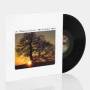 Mountain Goats - The Sunset Tree (Reissue)