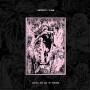 Raspberry Bulbs - Before The Age Of Mirrors LP