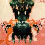 The Shaky Hands - Lunglight