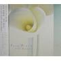 Yuhki Kuramoto - Pure Piano