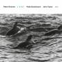 Peter Erskine - Juni (Touchstones)