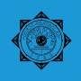 Ozric Tentacles - Sliding Gliding Worlds (Black Vinyl 2LP)
