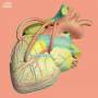 Kiha & Faces - Heart Of Man 3