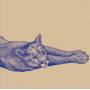 Koen Holtkamp - Field Rituals
