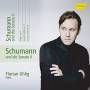 F. Uhlig - Schumann und die Sonate II
