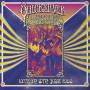 Quicksilver Messenger Ser - Live In San Jose: September 1966