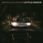 Shovels And Rope - Little Seeds