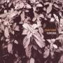 Chari Chari - Flow Dub