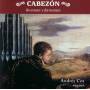 Andres Cea - Cabezon: Suavidad y Extraneza