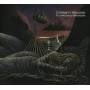 Christy Moore - Flying Into Mystery