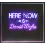 David Myles - Here Now