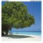 Albert Hammond - Your World & My World