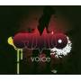 Voice - Gumbo