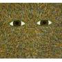 Flying Lotus - Pattern+Grid World