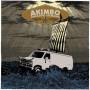 Akimbo - Navigating The Bronze