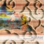 The Red Thread - Ship In The Attic, Birds In The Subway