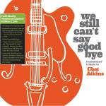 Diverse - We Still Can't Say Goodbye: A Musicians' Tribute T