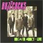 Buzzcocks - Orgasm Addict Live