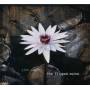 John Wesley - The Lilipad Suite