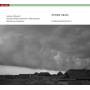 Pellegrini / Aeschbacher / Danish PO - Orchesterwerke Vol.2