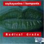 Stanislaw Soyka - Radical Graza