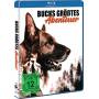 John Savage, David Hess, Jennifer Youngs - Bucks grtes Abenteuer [DE-Version, Regio 2/B]