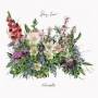 Low Shy - Hiraeth