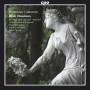 CIMAROSA / RIZZONE / ROTTENSTEINER / BONFATTI - Dixit Dominus