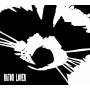 Raton Lover - Raton Lover