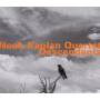 Noah Quartet Kaplan - Descendants