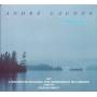Andre Gagnon - Impresssions