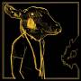 Shakey Graves - Roll The Bones X