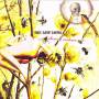 The Low Lows - Shining Violence