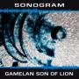 Gamelan Son Of Lion - Sonogram