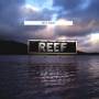 Reef - RIDES