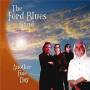 The Ford Blues Band - Another Fine Day