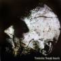 Domination Through Impurity - Essence Of Brutality