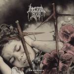 Immortal Bird - Sin Querencia (Bone Cloudy Vinyl)