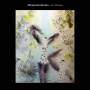 Jun Miyake - Whispered Garden (Digipak)