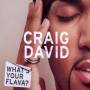 Craig David - Whats Your Flava?