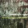 Carla Kihlstedt / Matthias Bossi / Shahzad Ismaily - Causing A Tiger