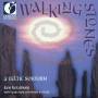 KOLODNER / RISK / BULLOCK - WALKING STONES-A CELT.SOJOURN