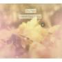 Day Wave - Headcase / Hard to Read