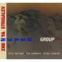 Zhenya Strigalev - Never Group
