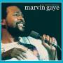 Marvin Gaye - The Ultimate Live Collection