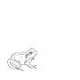 Aoife ODonovan - Bull Frogs Croon (And Other Songs)