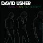 David Usher - Wake Up & Say Goodbye