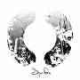 Sigur Rs - ()